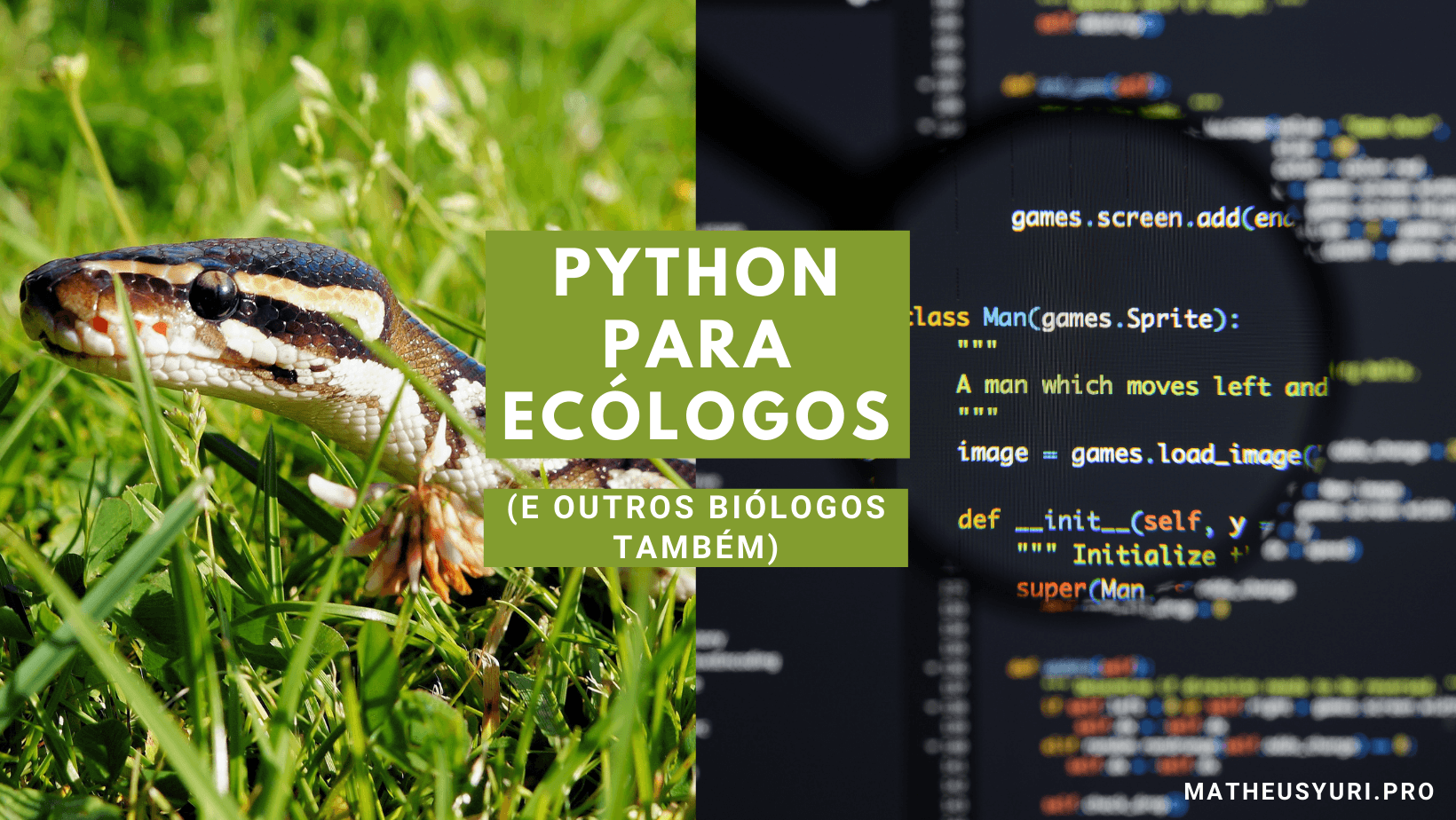 Aula 1 - Sua Excelência, o Python